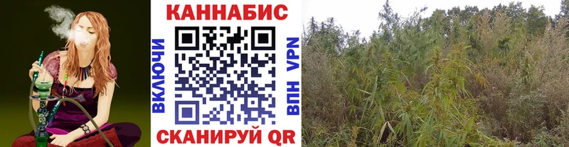 Продажа наркотиков Киренск А ПВП  Меф мяу мяу  Гашиш  Псилоцибиновые грибы  КОКАИН  Каннабис  Амфетамин 
