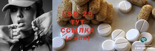 прущие грибы Бугульма