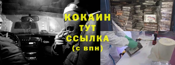 стафф Бородино