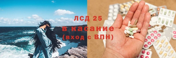 стафф Бородино