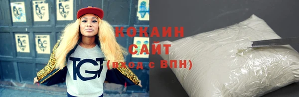 стафф Бородино