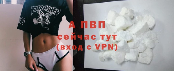 стафф Бородино