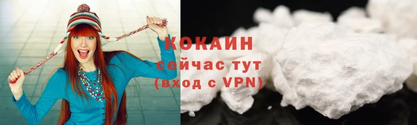 прущие грибы Бугульма