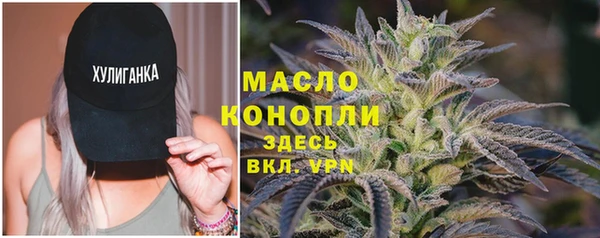 стафф Бородино
