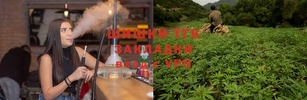 прущие грибы Бугульма