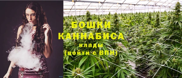 прущие грибы Бугульма