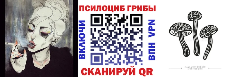 где купить наркоту  Киренск  Псилоцибиновые грибы ЛСД 